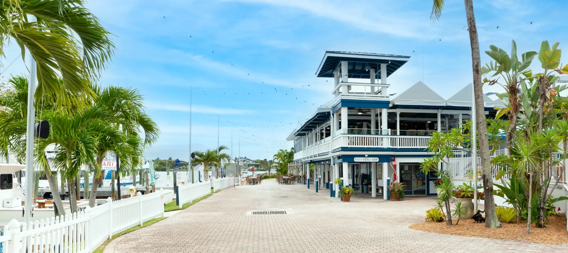 Beach setting during the day.